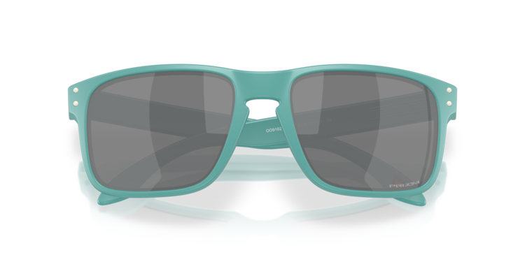 Oakley Oakley Holbrook Matte Pacific | Prizm Black