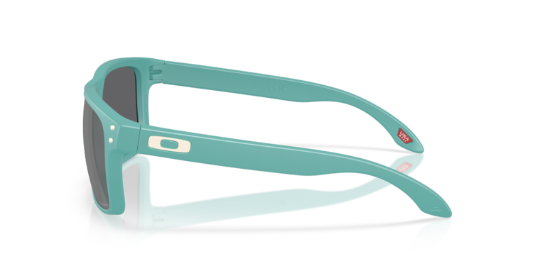 Oakley Oakley Holbrook Matte Pacific | Prizm Black