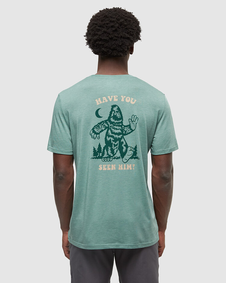 Tentree Tentree Have You Seen Hit-Shirt (Mens) | Jade Htr/Forest Pine