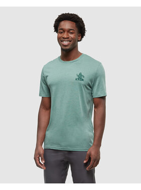 Tentree Tentree Have You Seen Hit-Shirt (Mens) | Jade Htr/Forest Pine
