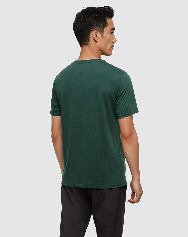 Tentree Tentree Mountain Scenic Tee (Mens) | Forest Pine/Jade