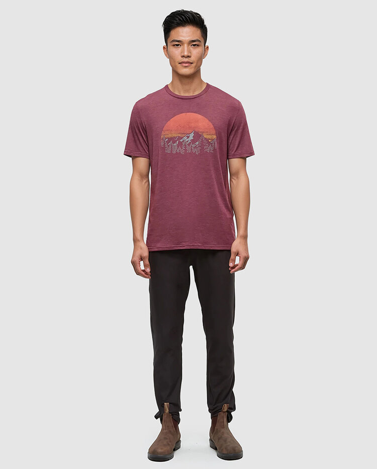Tentree Tentree Vintage Sunset Tee (Mens) | Deep Burgundy Htr/Arbutus