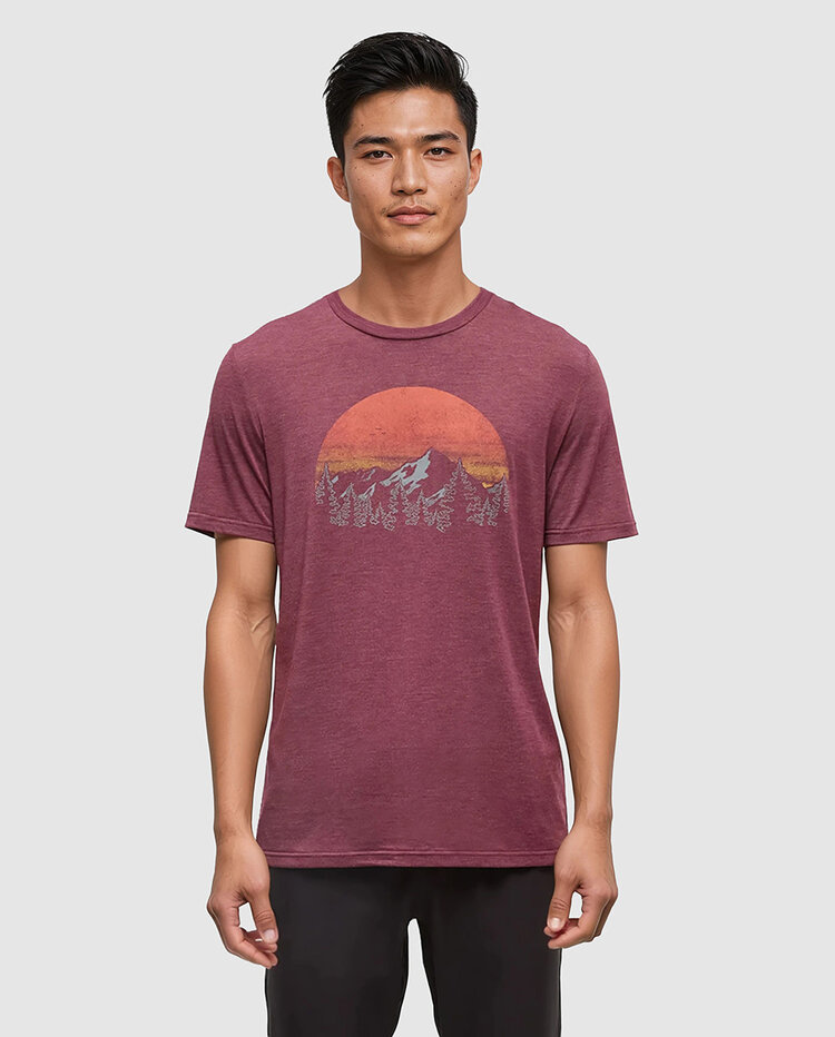 Tentree Tentree Vintage Sunset Tee (Mens) | Deep Burgundy Htr/Arbutus