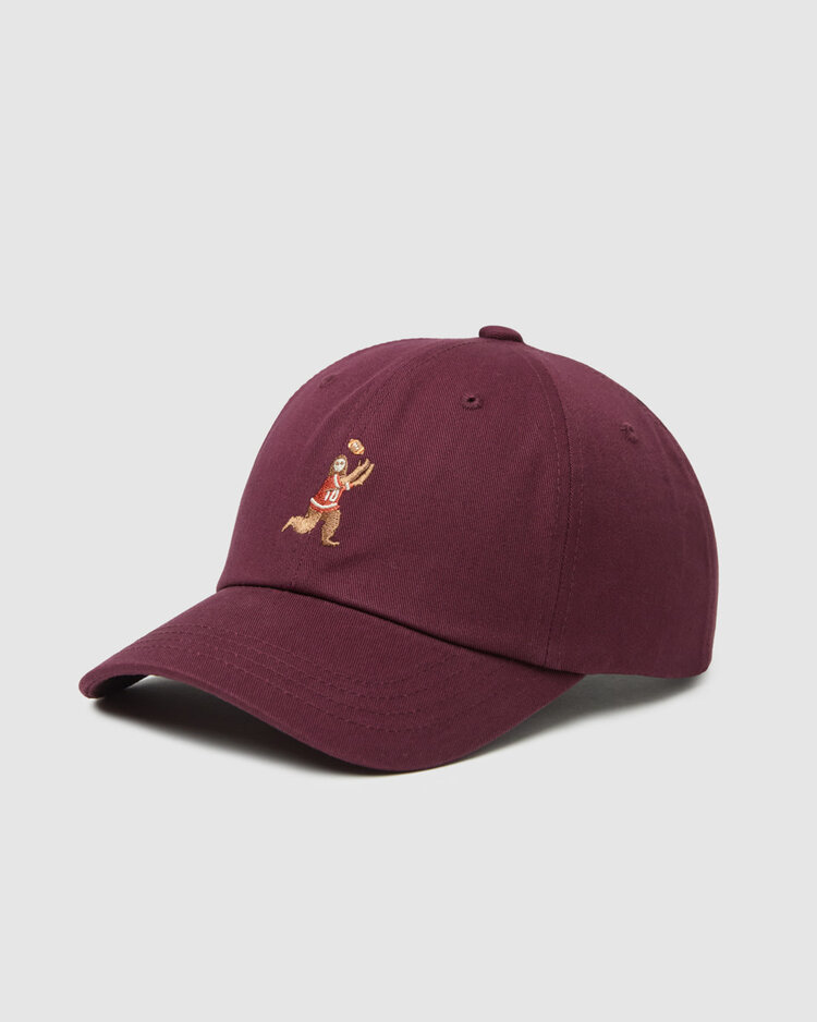 Tentree Tentree Sasquatch Peak Hat (Unisex) | Deep Burgundy/Football