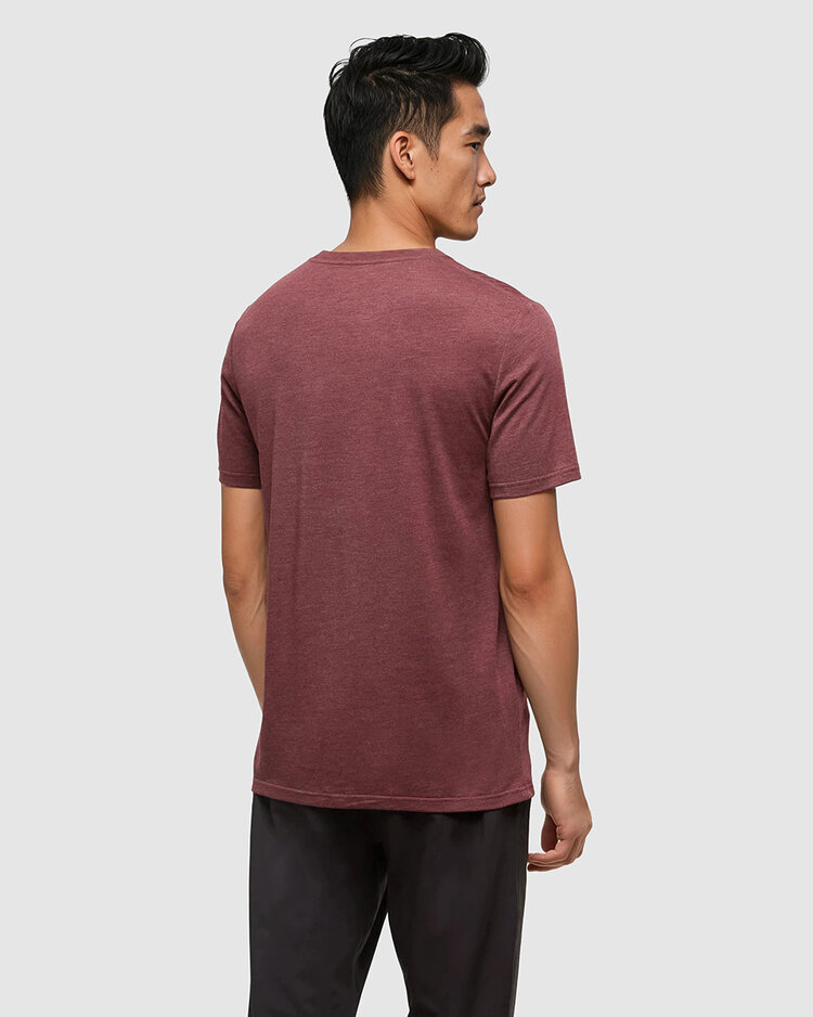 Tentree Tentree Baker Tee (Mens) | Deep Burgundy Htr