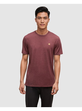 Tentree Tentree Baker Tee (Mens) | Deep Burgundy Htr