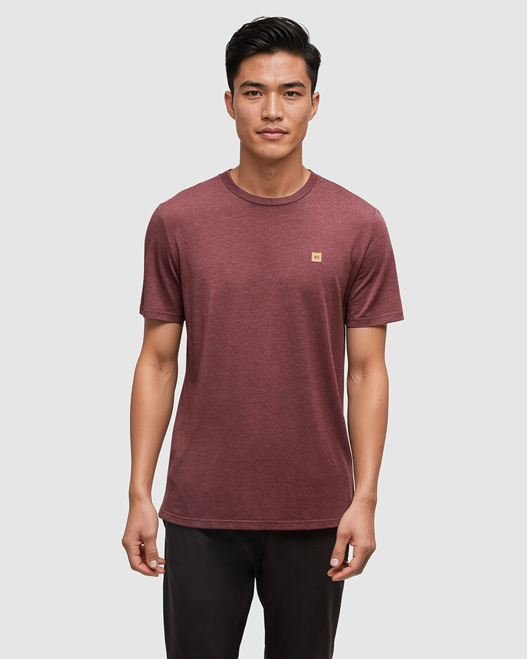 Tentree Tentree Baker Tee (Mens) | Deep Burgundy Htr