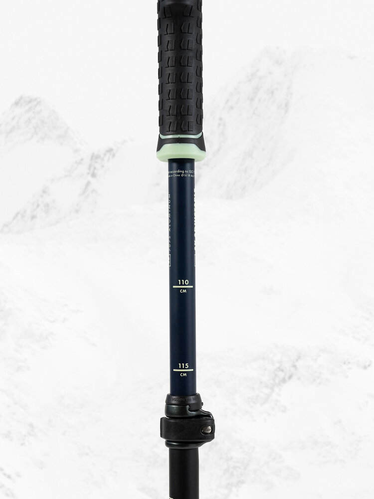 Armada Armada Ak Adjustable Ski Pole 2027 | Blue/Green