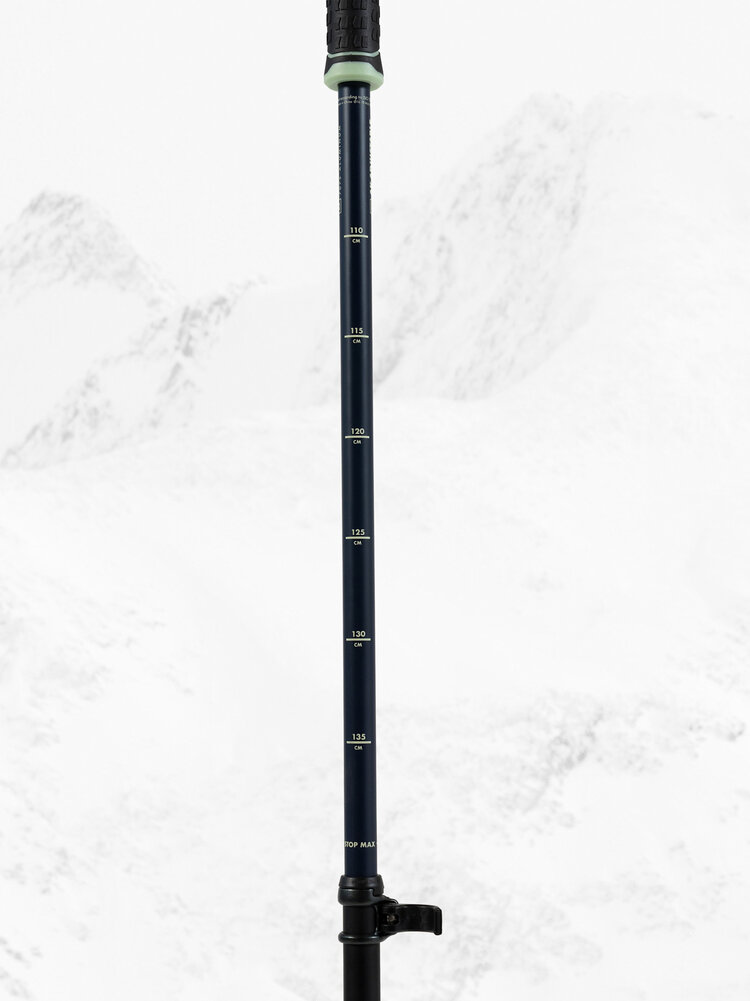 Armada Armada Ak Adjustable Ski Pole 2027 | Blue/Green