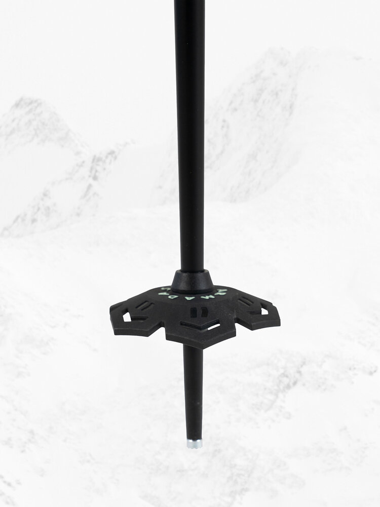 Armada Armada Ak Adjustable Ski Pole 2027 | Blue/Green