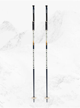 Armada Armada Legion Ski Pole 2027 | Blue/Cream
