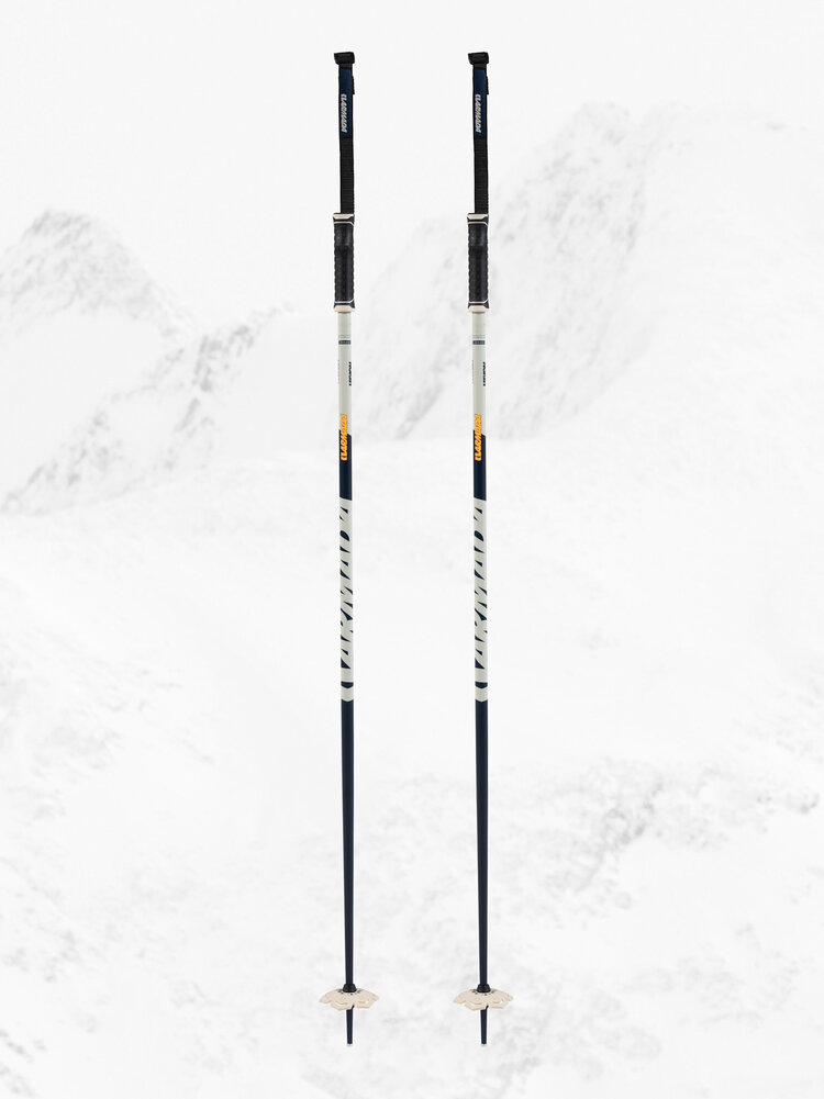 Armada Armada Legion Ski Pole 2027 | Blue/Cream