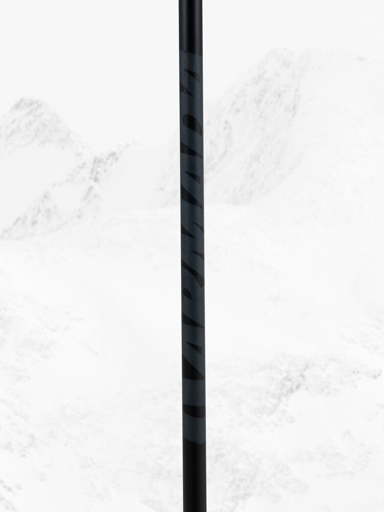 Armada Armada Legion Ski Pole 2026 | Black/Lime