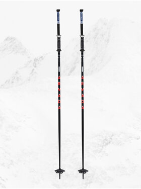 Armada Armada Triad Ski Pole 2026 | Bb