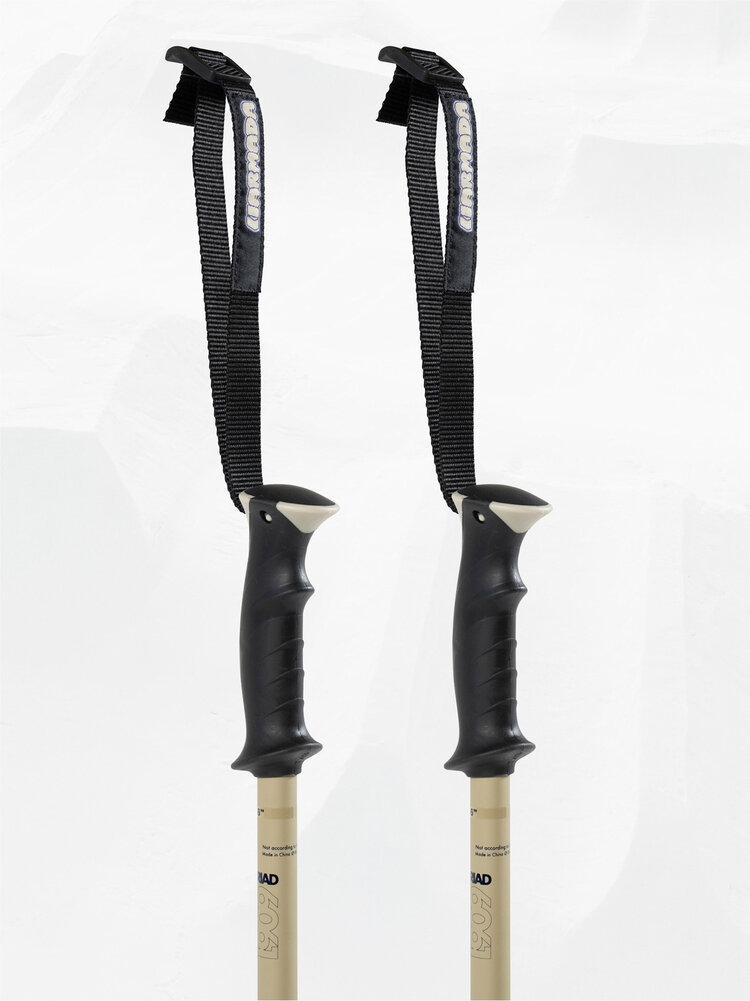 Armada Armada Triad Ski Pole 2027 | Tan