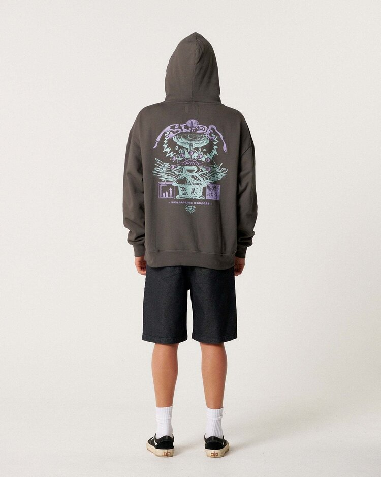 Critical Slide Society Critical Slide Madness Hoodie (Unisex) | Ashphalt
