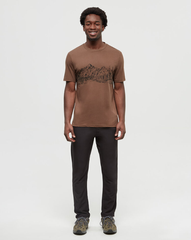 Tentree Tentree Mountain Scenic Tee (Mens) | Clove/Meteorite Back
