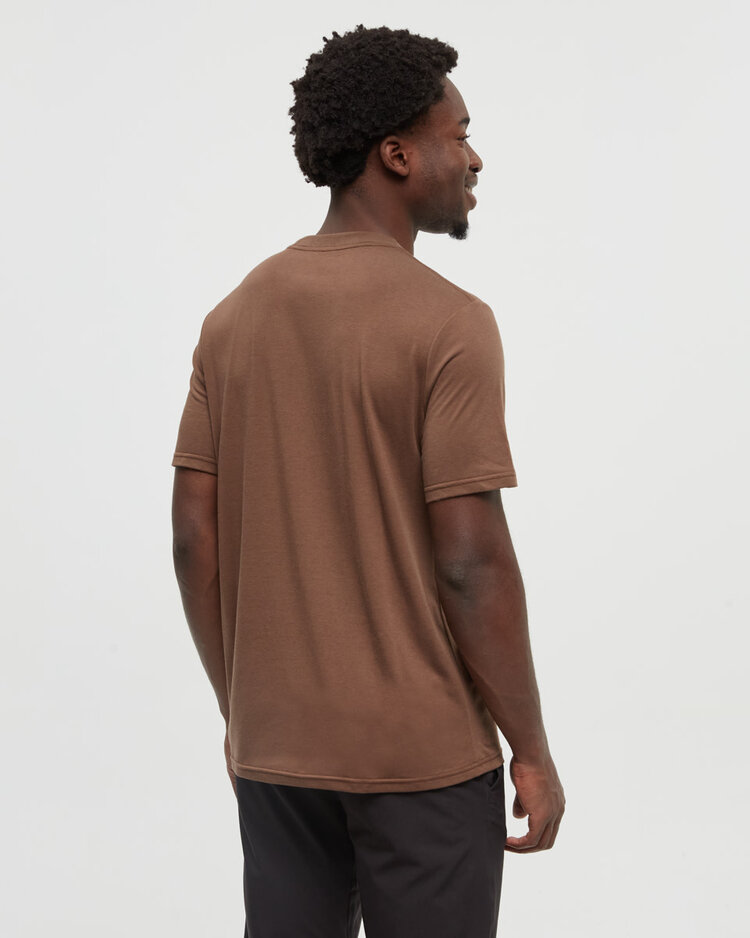 Tentree Tentree Mountain Scenic Tee (Mens) | Clove/Meteorite Back