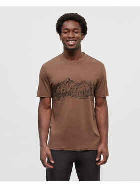 Tentree Tentree Mountain Scenic Tee (Mens) | Clove/Meteorite Back