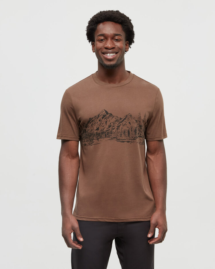 Tentree Tentree Mountain Scenic Tee (Mens) | Clove/Meteorite Back