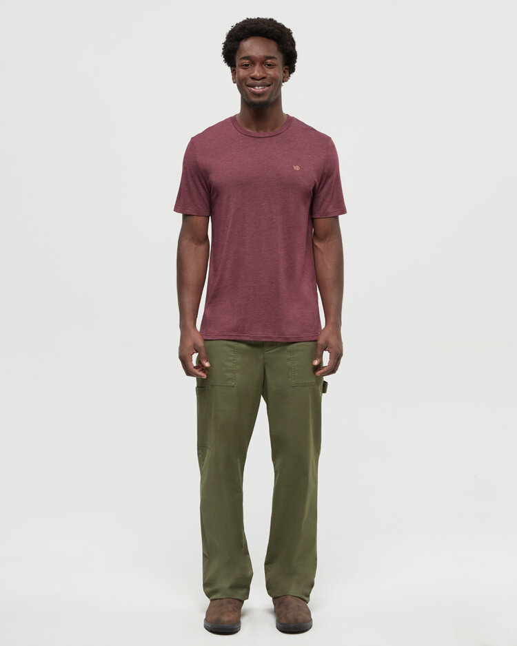 Tentree Tentree Embroidered Ten Tee (Mens) | Deep Burgundy Htr/Camel