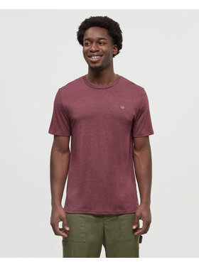 Tentree Tentree Embroidered Ten Tee (Mens) | Deep Burgundy Htr/Camel
