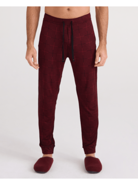 SAXX Saxx Snooze Pant | Rad Plaid-Cabernet
