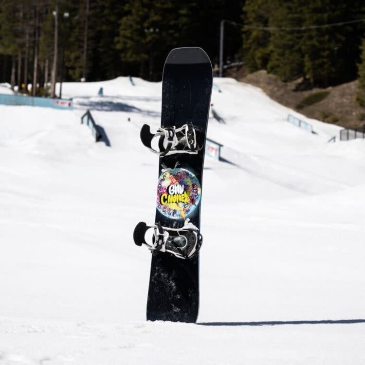 GNU Gnu C Money 2026