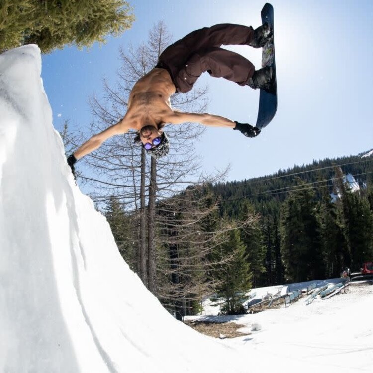 GNU Gnu C Money 2026