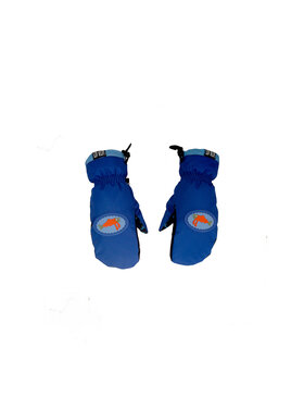 Salmon Arms Salmon Arms Team Mitt (Unisex) 2026 | Waves