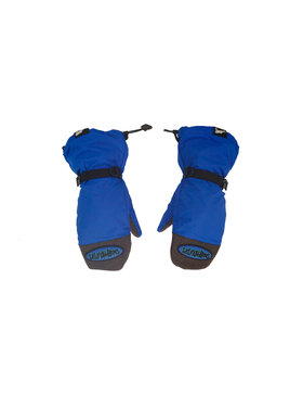 Salmon Arms Salmon Arms Overmitt 2 (Unisex) 2026 | Fish Paw Blue