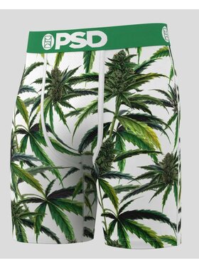 PSD Psd Standard Briefs (Mens) | Buds & Bloom