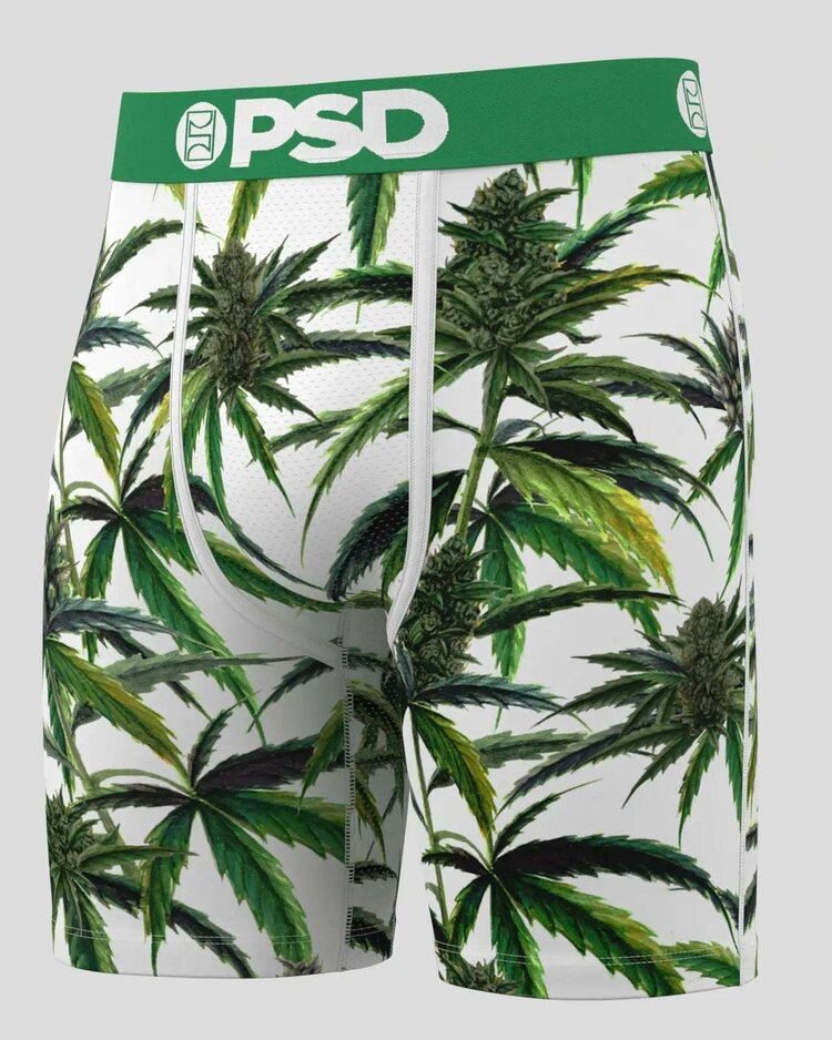 PSD Psd Standard Briefs (Mens) | Buds & Bloom
