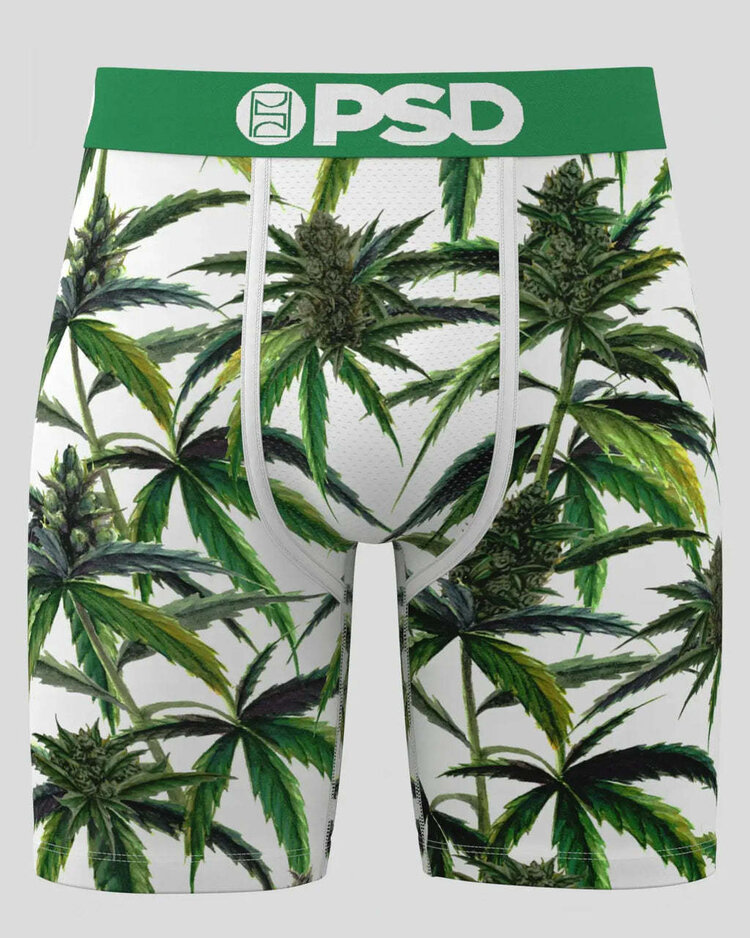 PSD Psd Standard Briefs (Mens) | Buds & Bloom