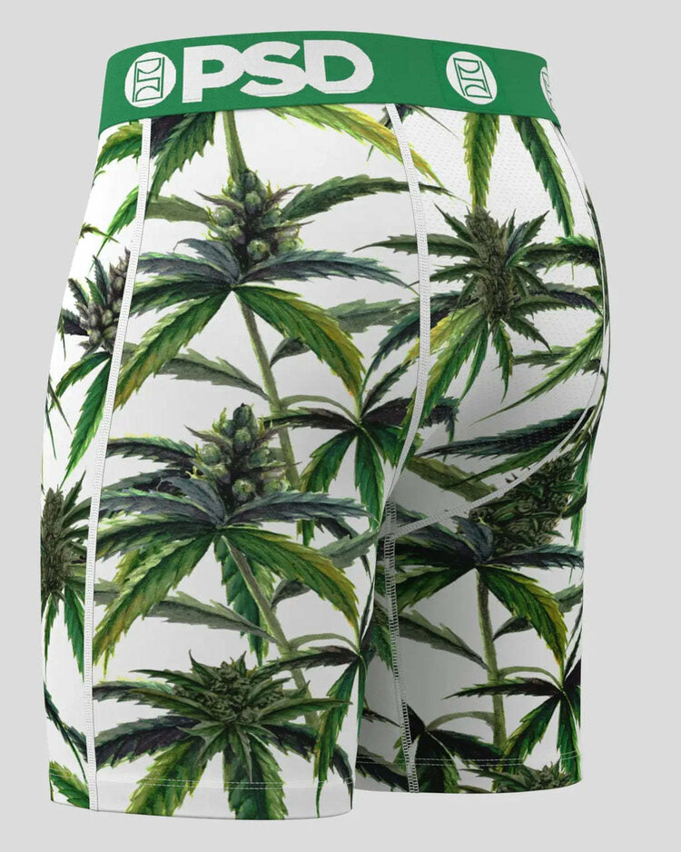 PSD Psd Standard Briefs (Mens) | Buds & Bloom