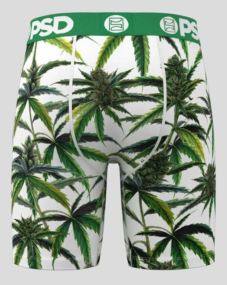 PSD Psd Standard Briefs (Mens) | Buds & Bloom