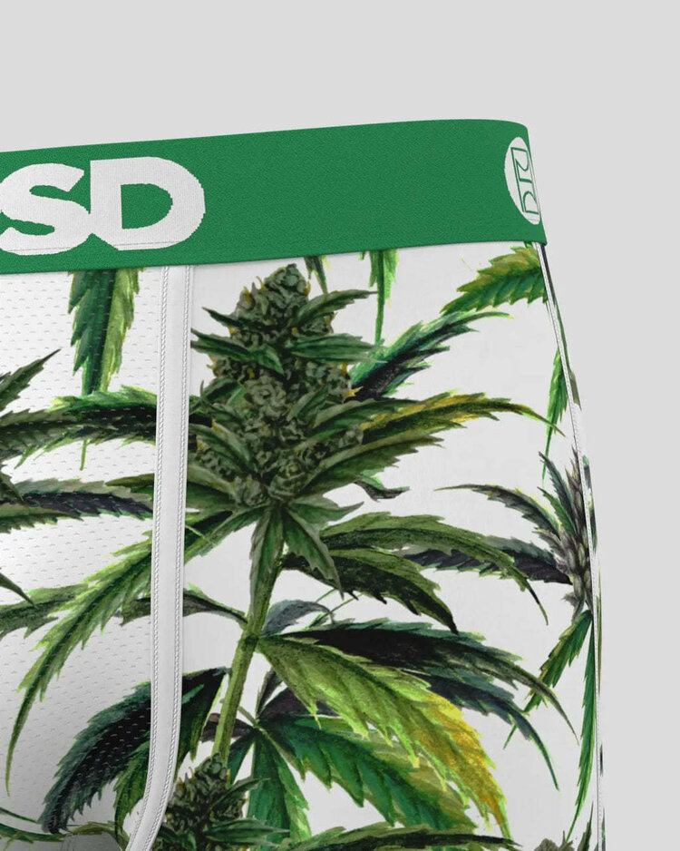 PSD Psd Standard Briefs (Mens) | Buds & Bloom