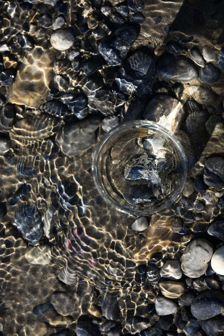 MTNPK MTNPK Tumbler Glass | Black Tusks