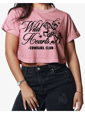 Girl Dangerous Girl Dangerous Wild Hearts Crop Bf Tee | Dusty Pink