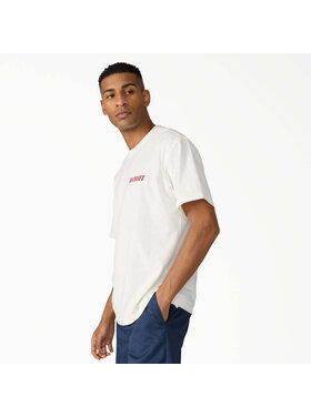 Dickies Dickies Dry Ridge S/S Tee (Mens) | Egret