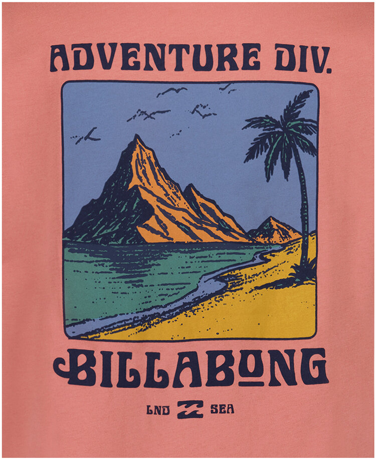 Billabong Billabong Post Cards Ss (Youth) | Dusty Rose