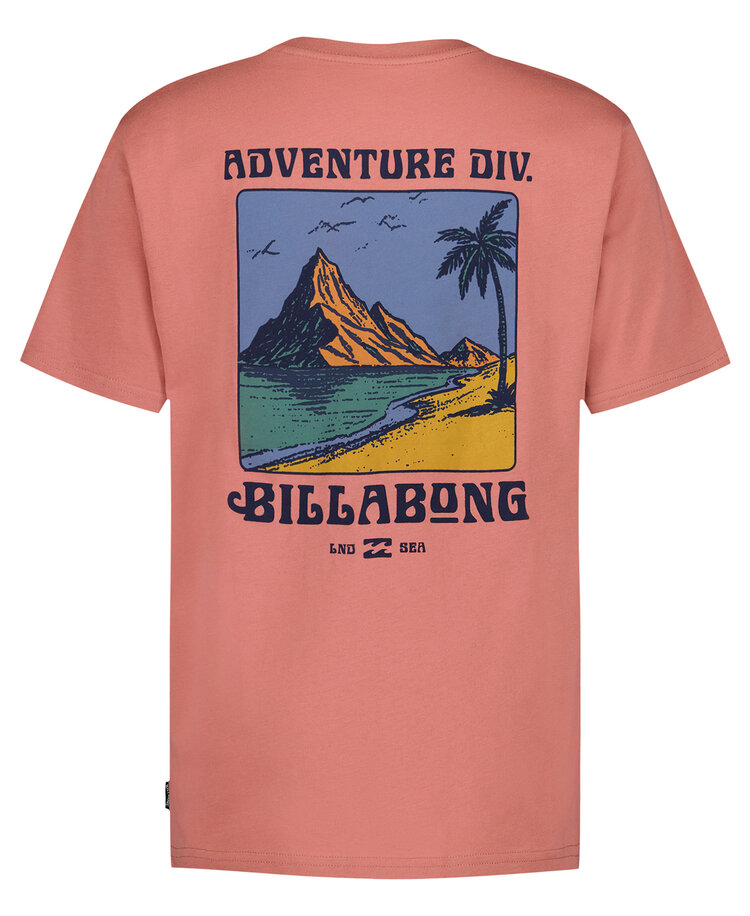 Billabong Billabong Post Cards Ss (Youth) | Dusty Rose