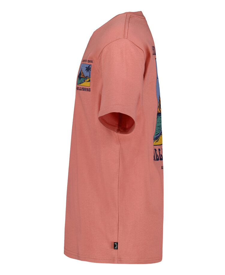 Billabong Billabong Post Cards Ss (Youth) | Dusty Rose