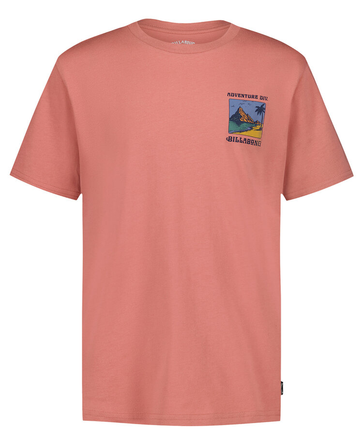 Billabong Billabong Post Cards Ss (Youth) | Dusty Rose