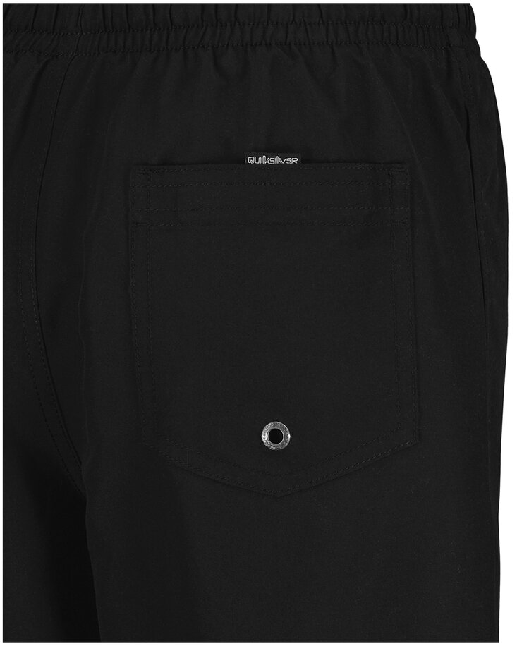 Quiksilver Quiksilver Everyday Liner Volley (Youth) | Black