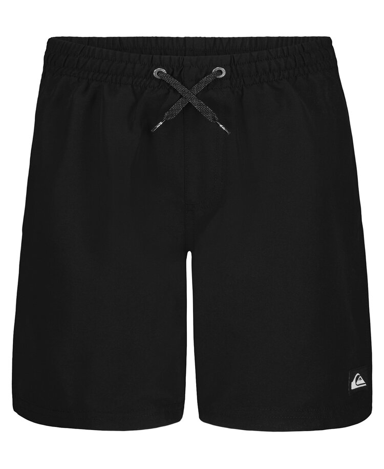 Quiksilver Quiksilver Everyday Liner Volley (Youth) | Black