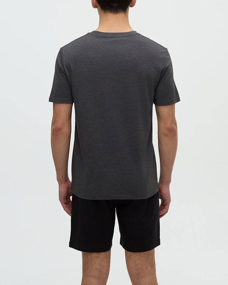 Tentree Tentree Sasquatch Tee (Mens) | Graphite Htr/Floatie