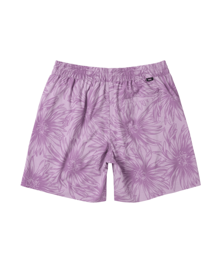 SAXX Saxx Sea To Shore 2N1 Volley Short 6" | Big Daisy-Orchid