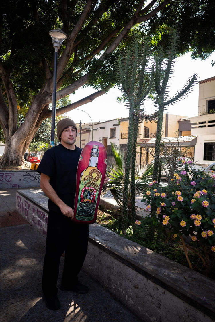 Santa Cruz Santa Cruz Winkowski Pro Shaped Deck | Agave Snake