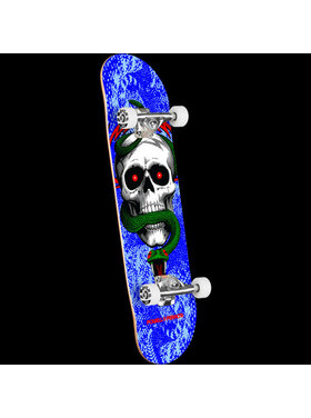 Powell Powell Skull & Snake Complete | Blue